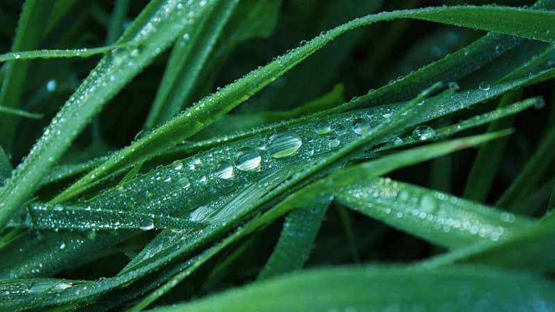 资深篮球教练推荐的训练规矩_0
